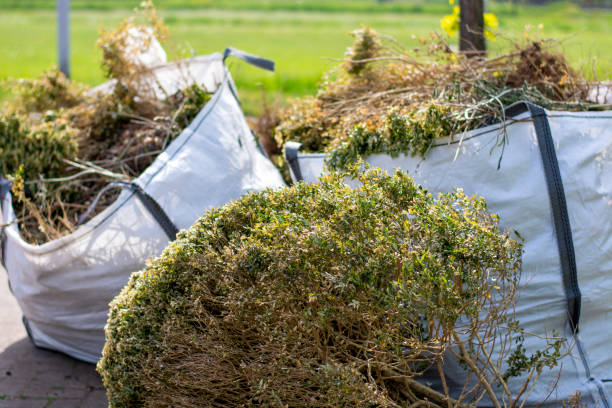 Best Local Junk Hauling  in Brownsville, FL